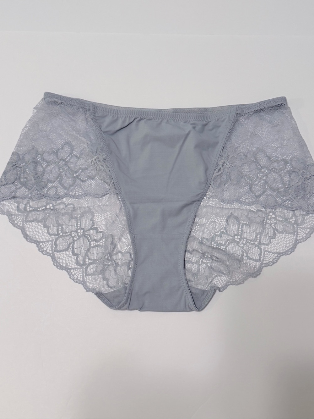 NWT Triumph Lace-Panel Shape Smart Hipster - Light Gray size Large